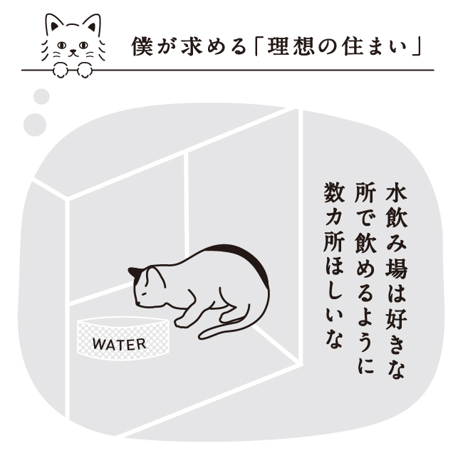 猫の水飲み場は何カ所か設置してね