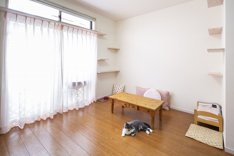 京都府向日市３匹の猫と暮らすリビング